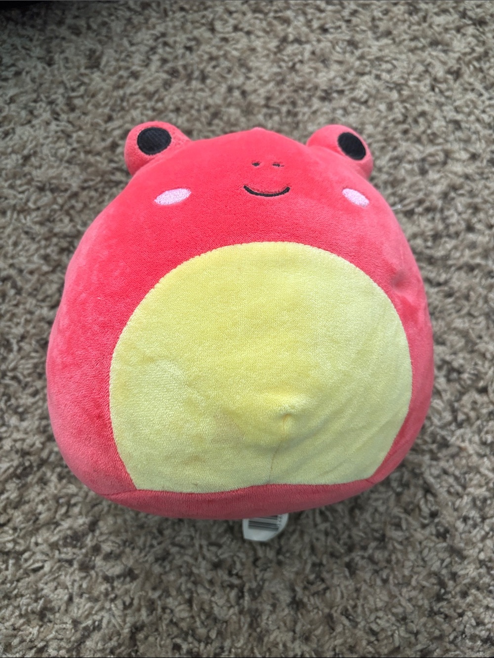 Plush Red Tree Frog Squishmallow